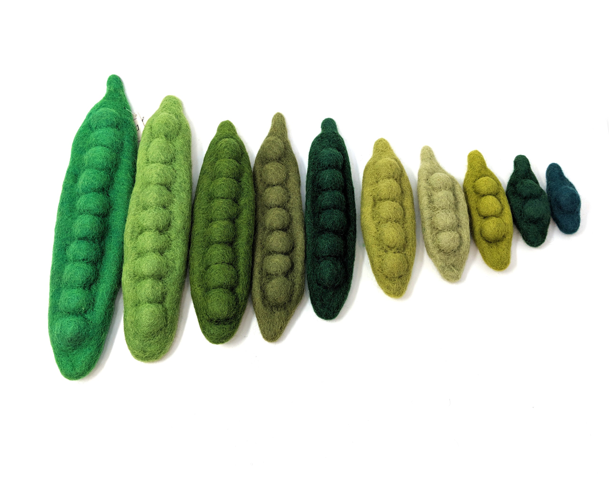 Wool Bean Counters