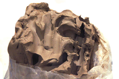 Laguna Clay