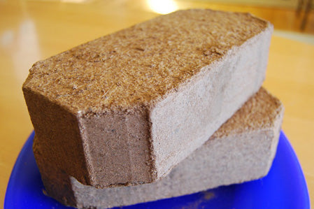 Kodo Coconut