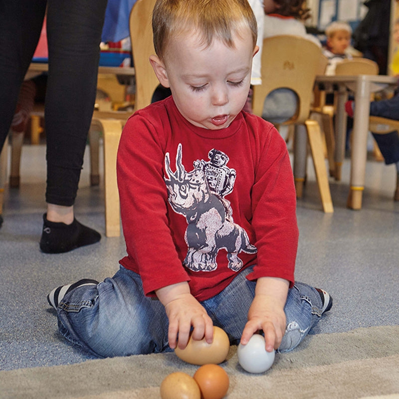Sorting Eggs