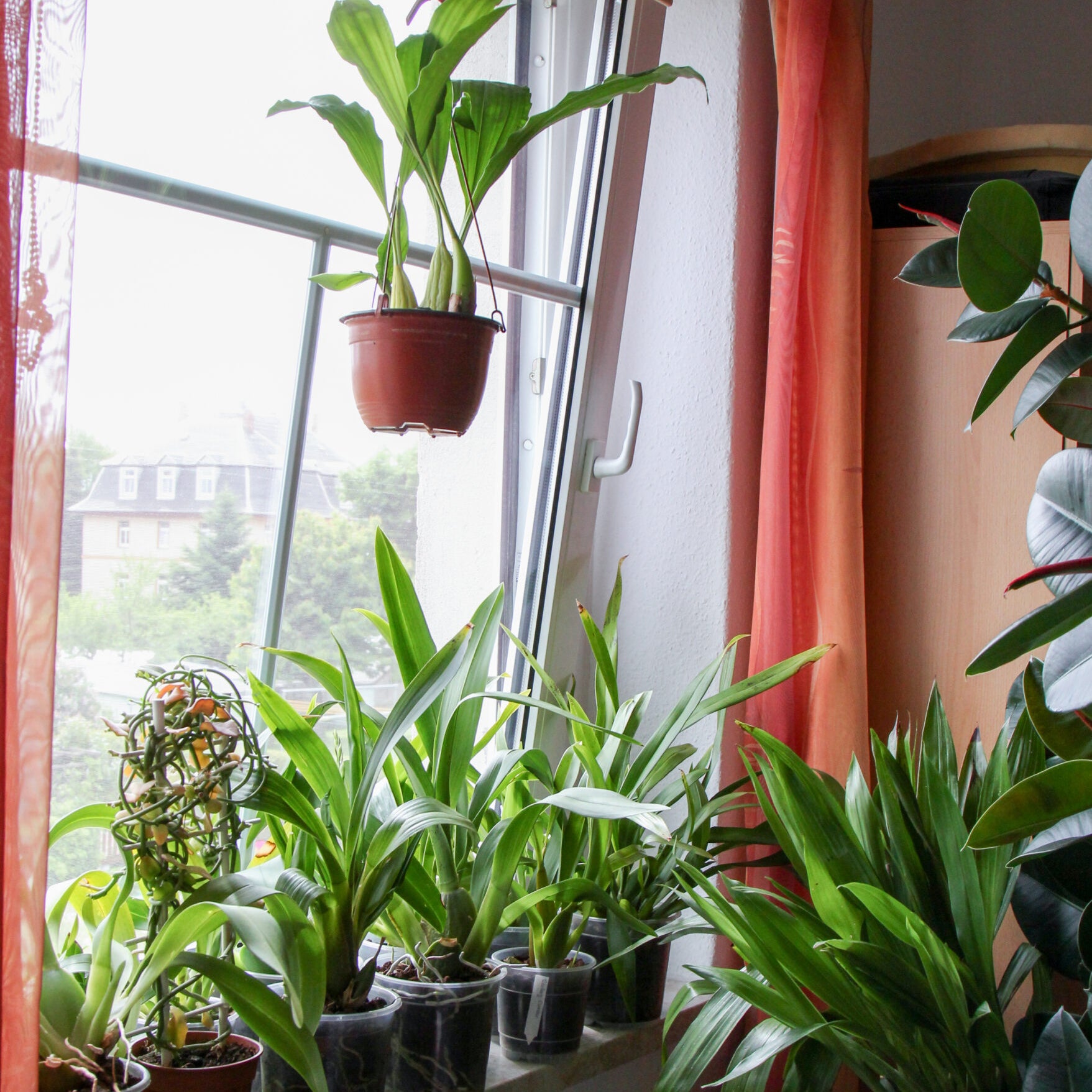 18592553729_f86481fb37_o