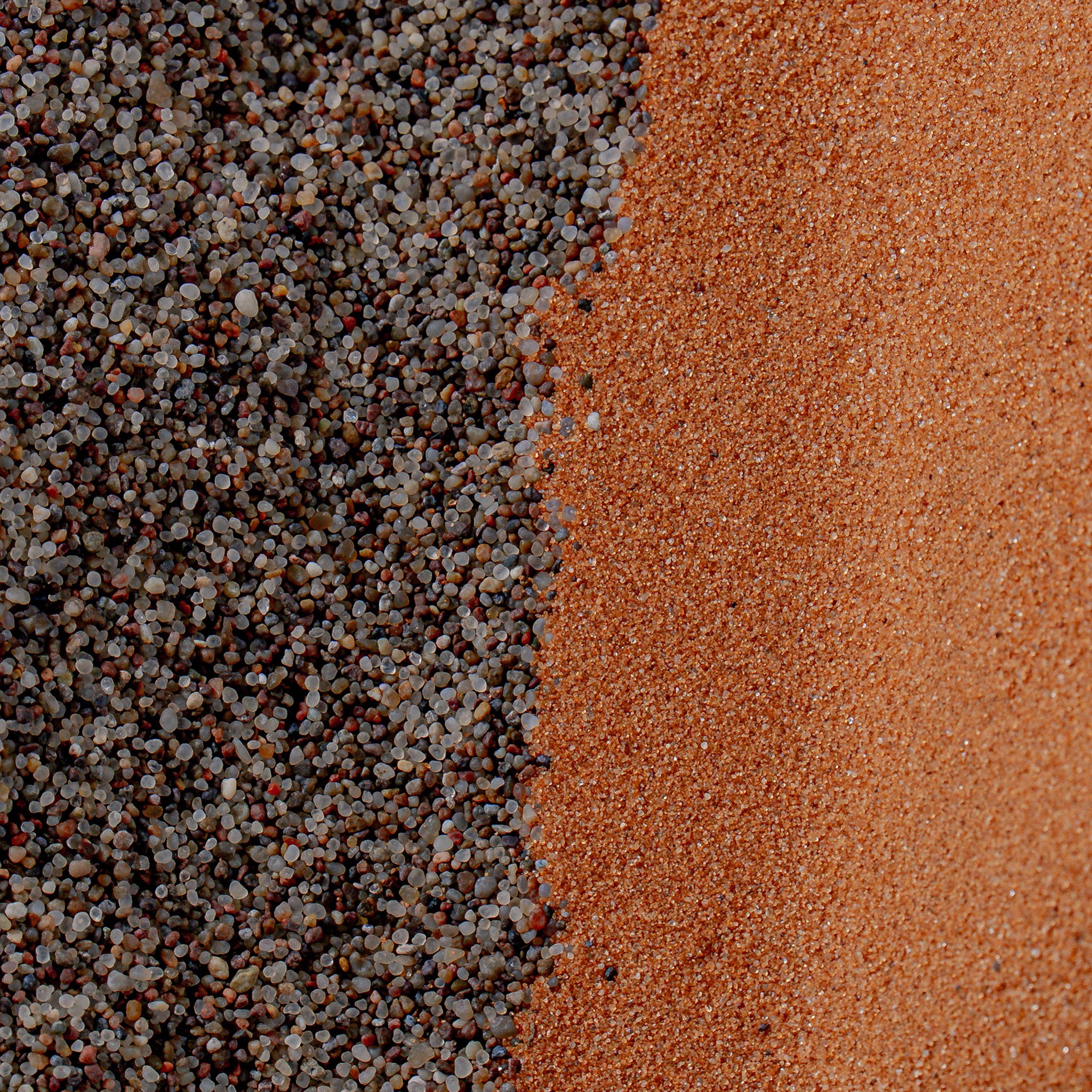 Earth Sensory Lab Bundle