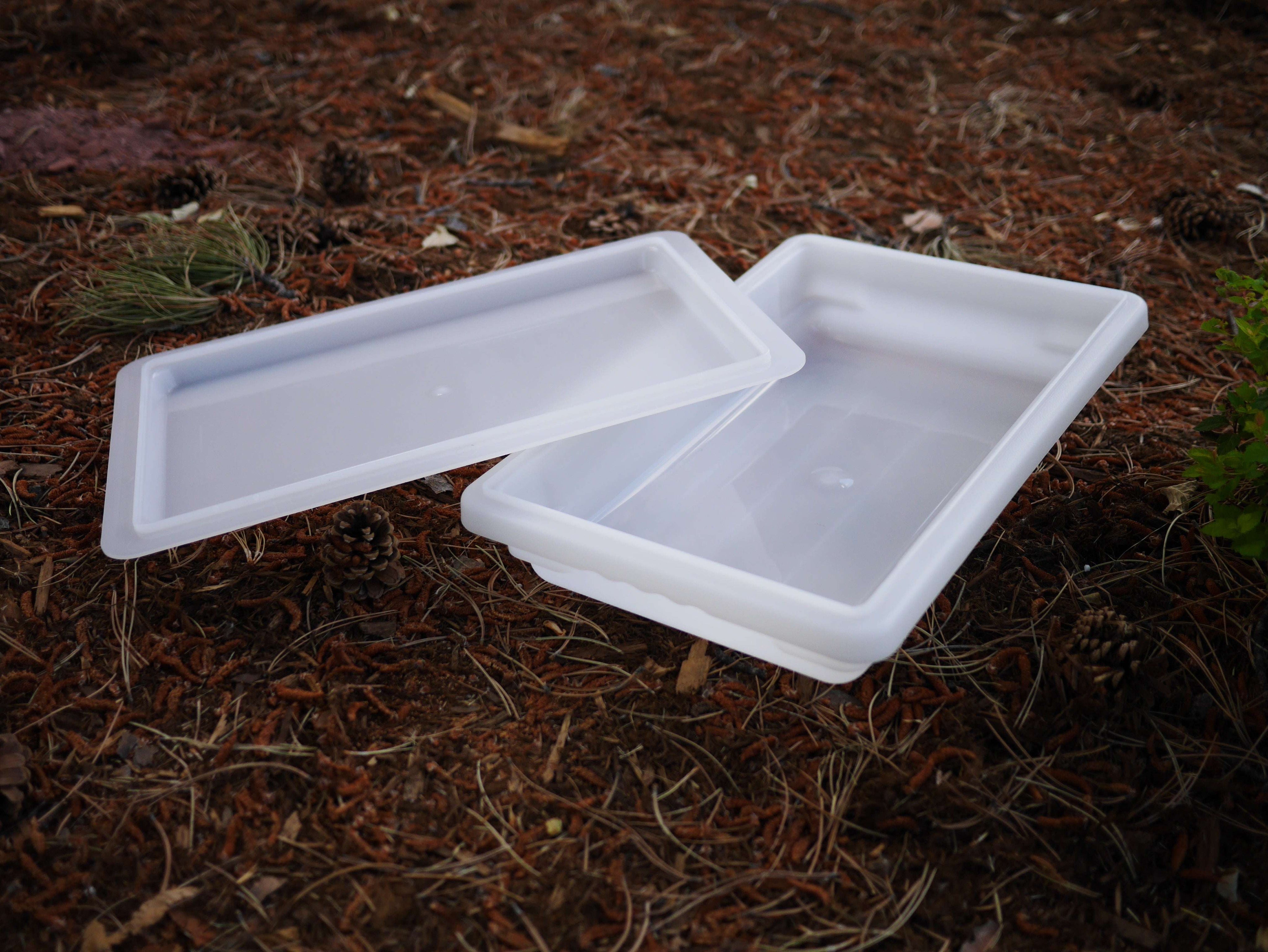 Clear sensory bin with lid used for storage and play activities