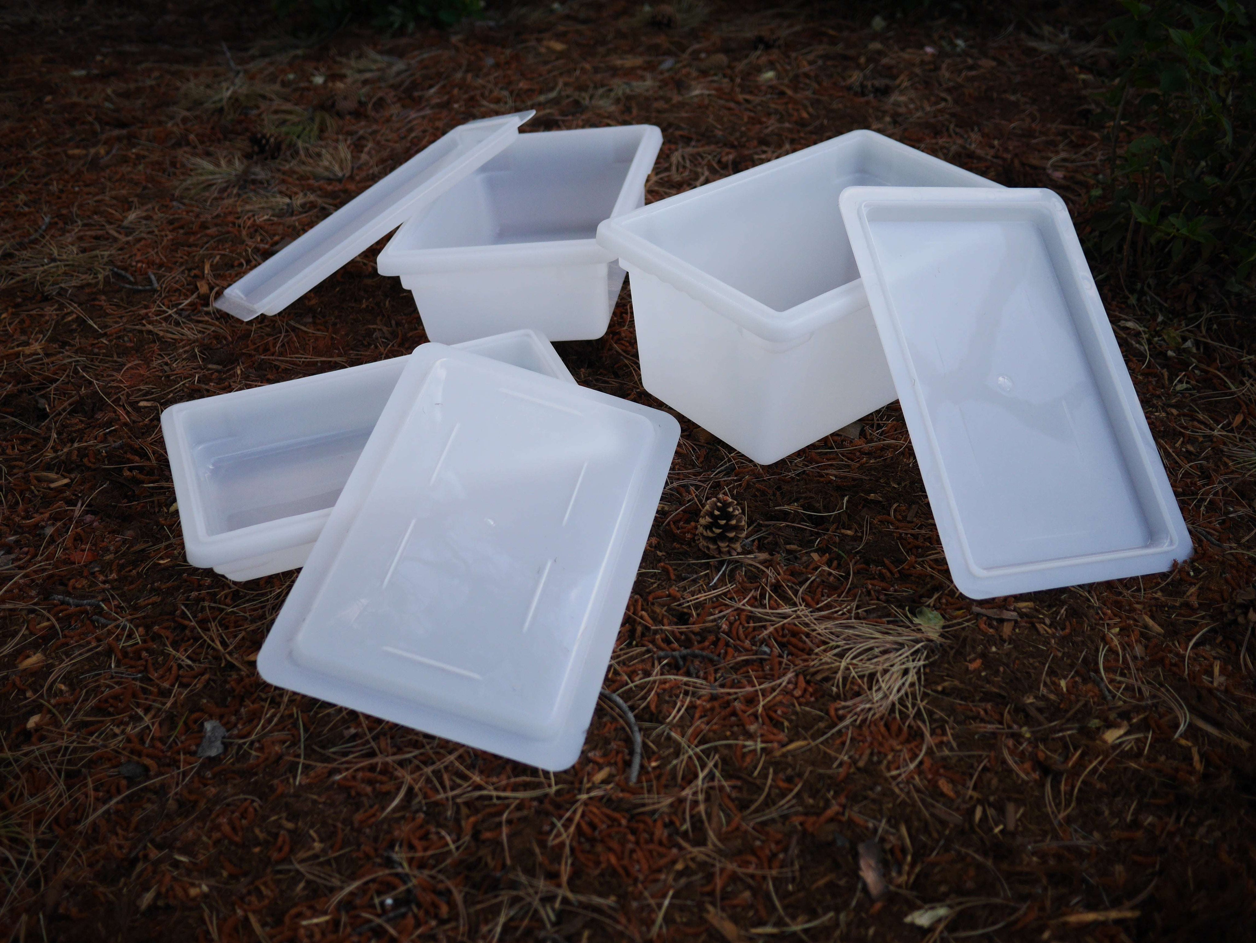 Sensory bin with lid used for storing and playing with materials in learning environments