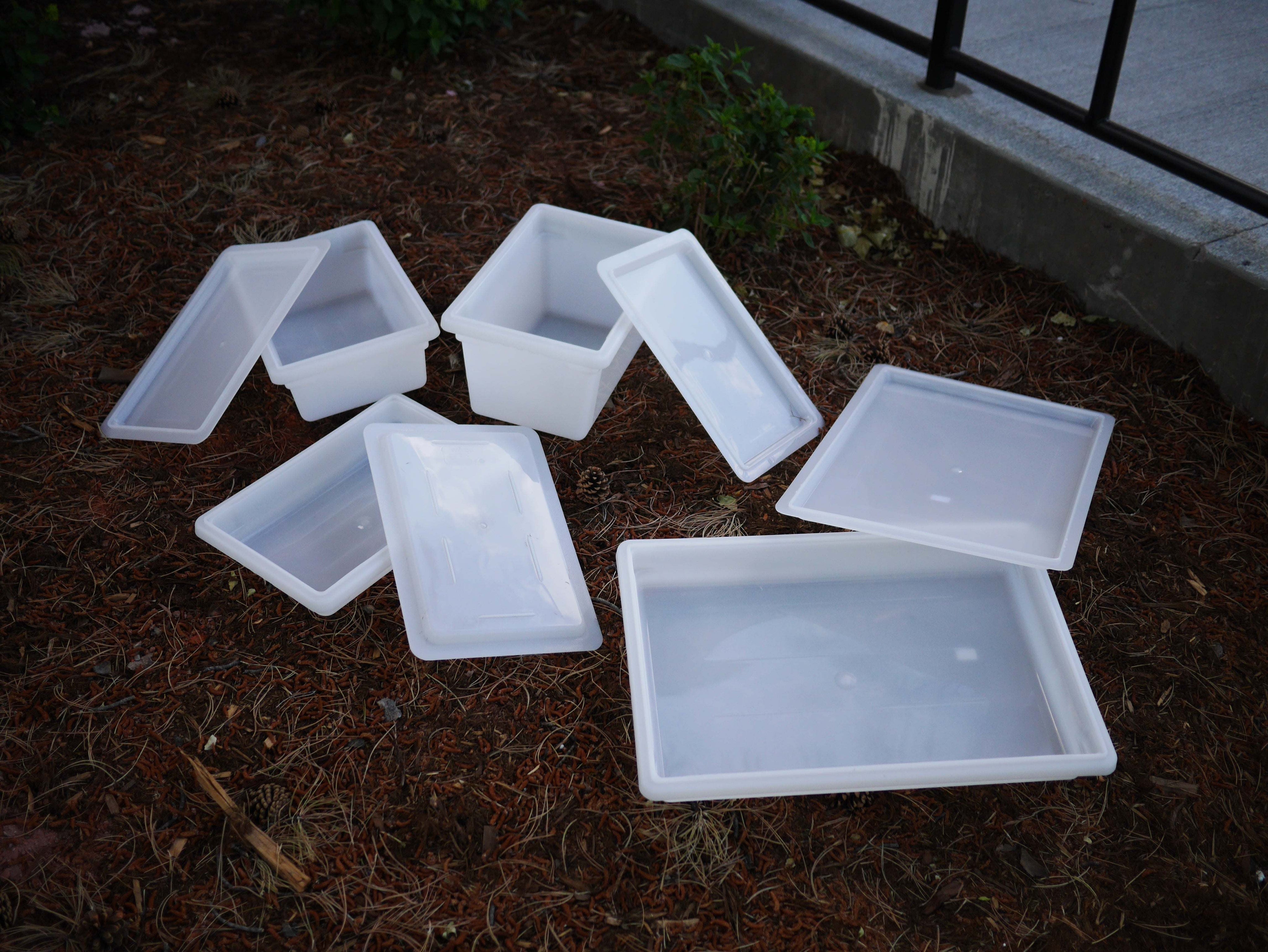 Clear sensory bin with loose fitting lid for storage and play activities
