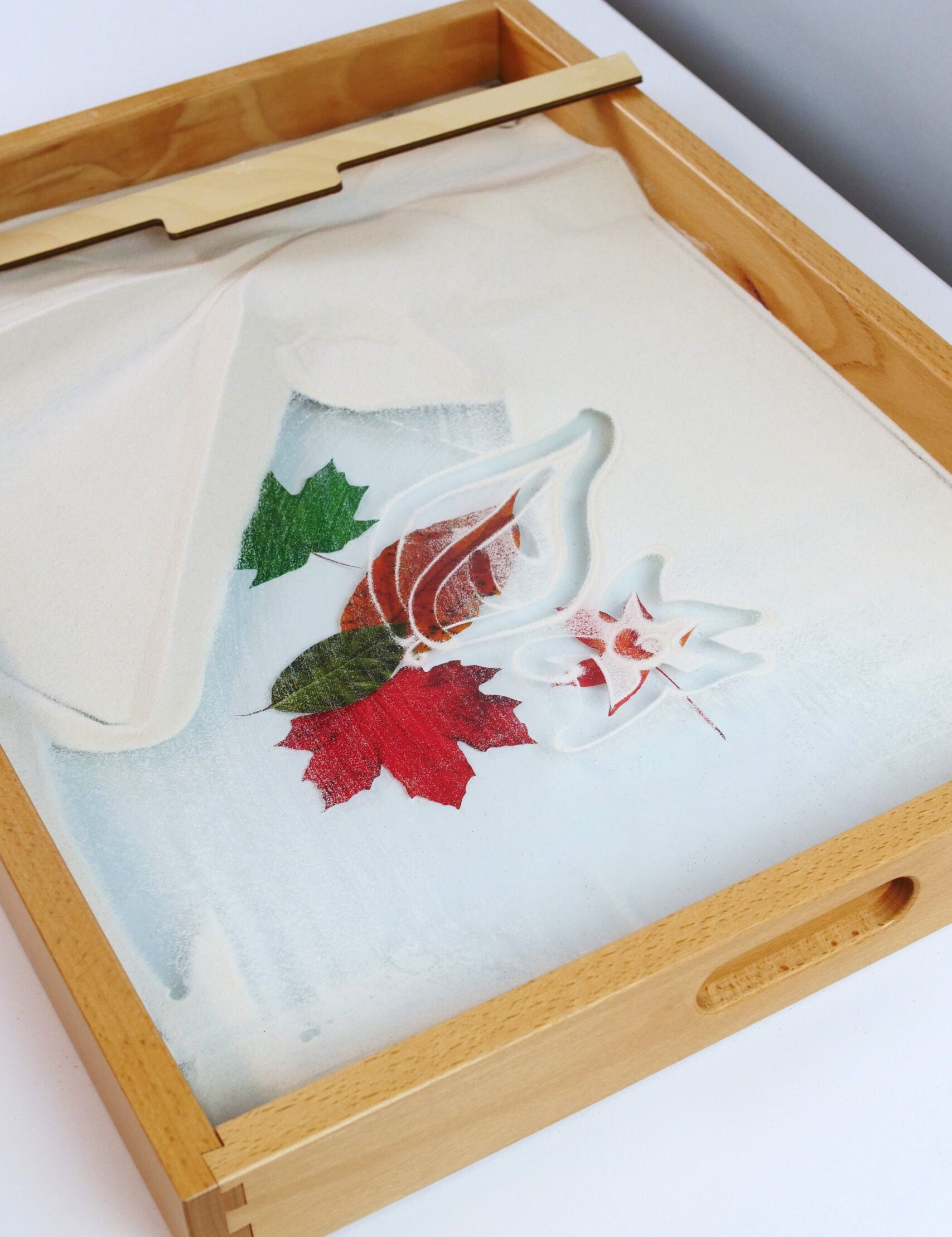 AB-SandTray-Transparentbottom