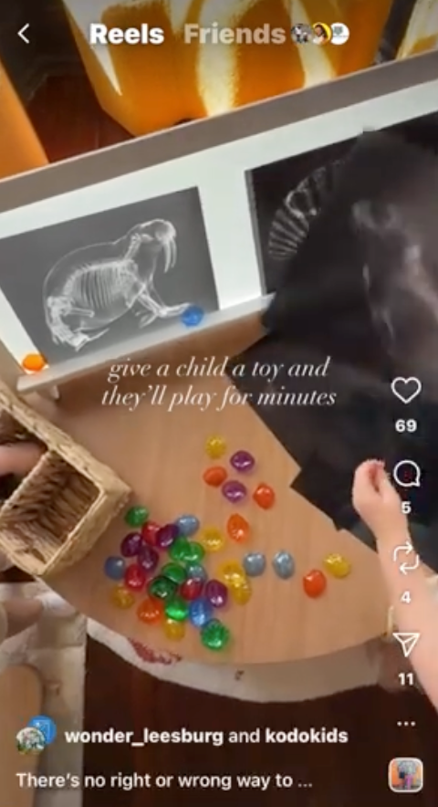 Animal_XRays_UGC_Thumbnail.png