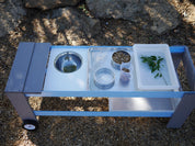 Mobile Sensory web (8)