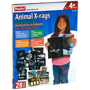 Roylco Animal X-rays educational set box featuring 14 transparent animal skeleton slides and 14 matching picture cards.