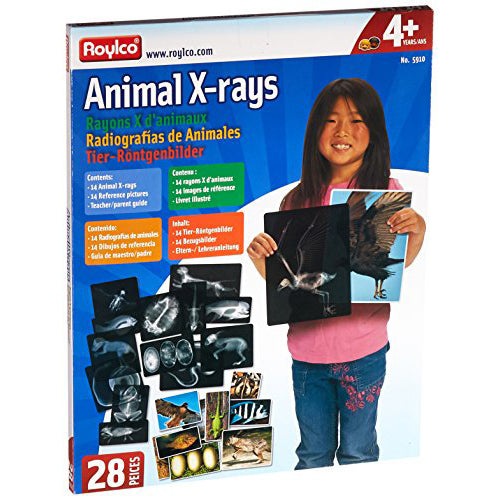 Roylco Animal X-rays educational set box featuring 14 transparent animal skeleton slides and 14 matching picture cards.