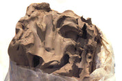 clay-_2__2.jpg
