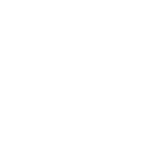 coaching_icon_5a3dc725-11c5-4b3d-a902-01b079fdbc4a.png