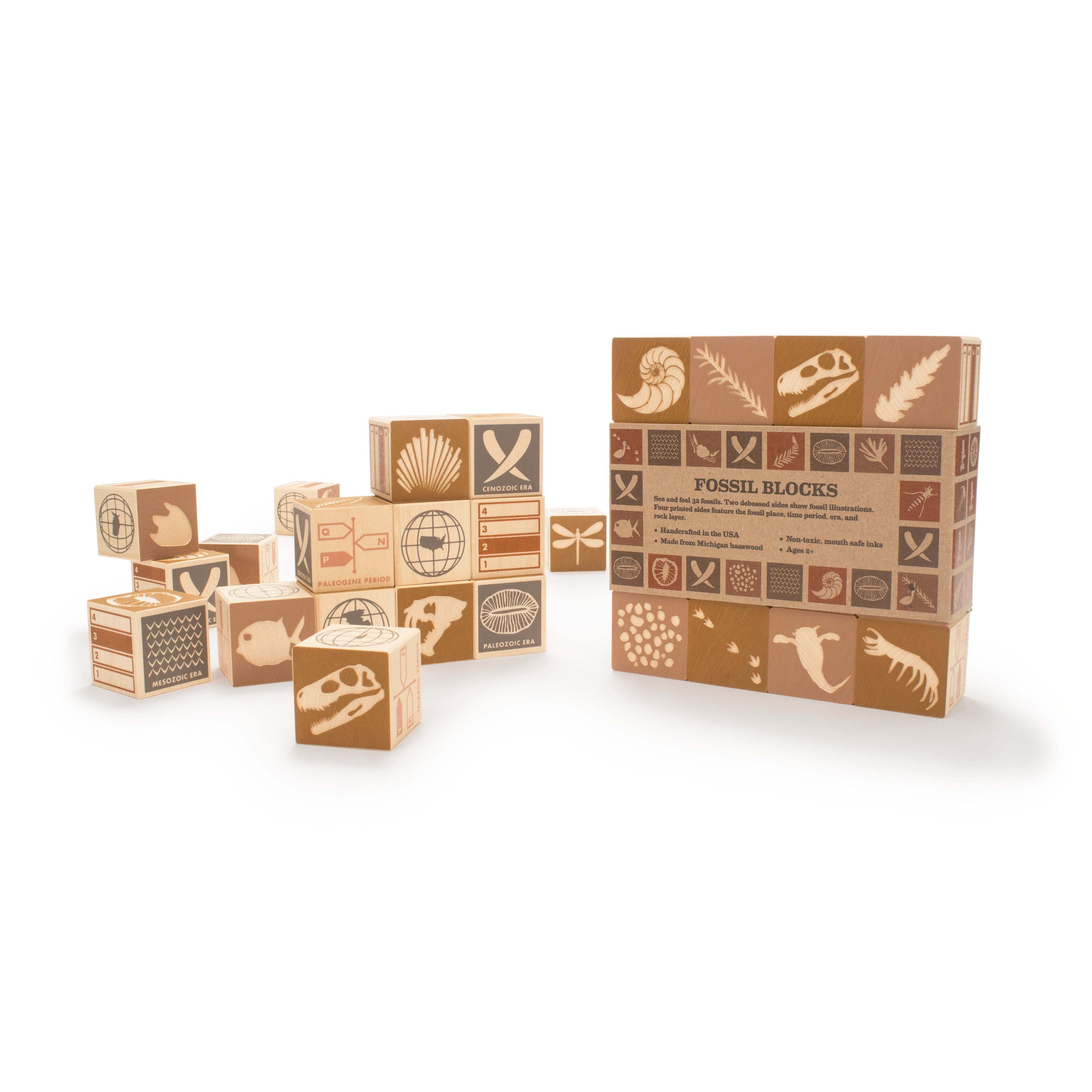Uncle Goose wooden fossil blocks featuring debossed illustrations and printed geological data on natural basswood cubes.