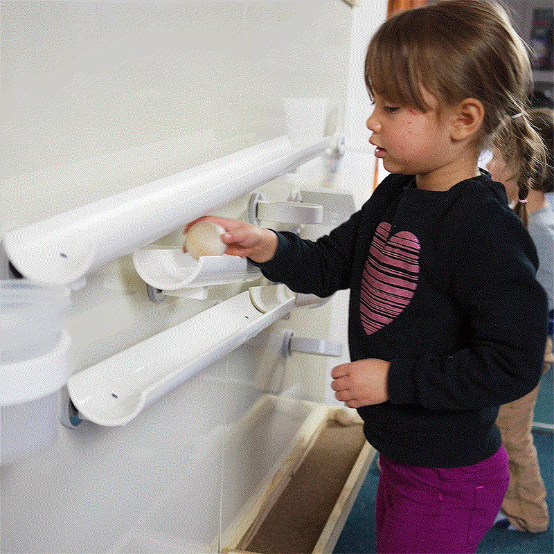 Child placing a ball on a white magnetic wall panel with ramps and cups, framed by durable Wormy Maple wood trim.