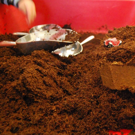 Brown, fibrous Kodo Coconut husk in a red bin with metal scoops and a small toy car for sensory play.