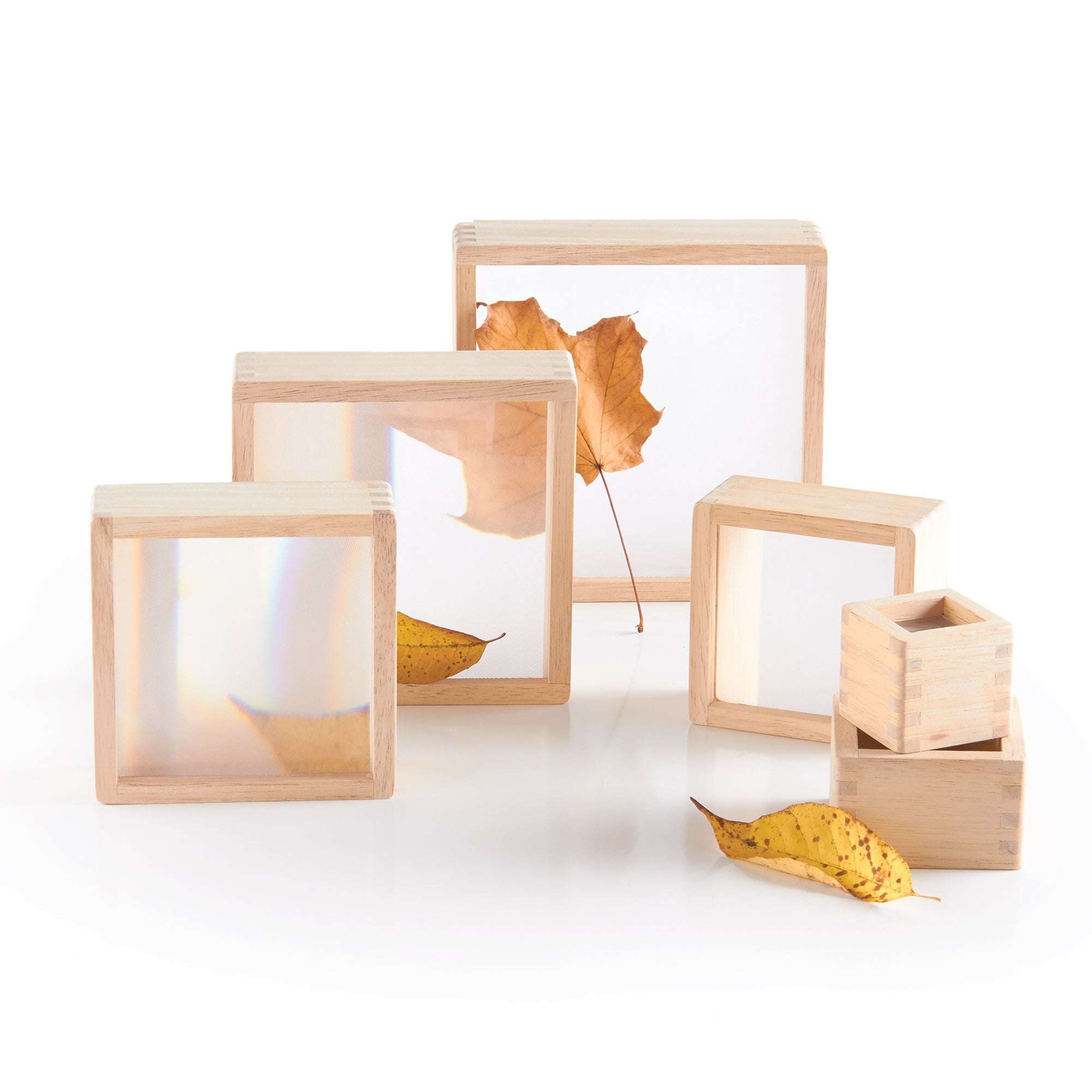 Six stacking hardwood blocks with inset magnifying acrylic windows, displaying autumn leaves on a white background.