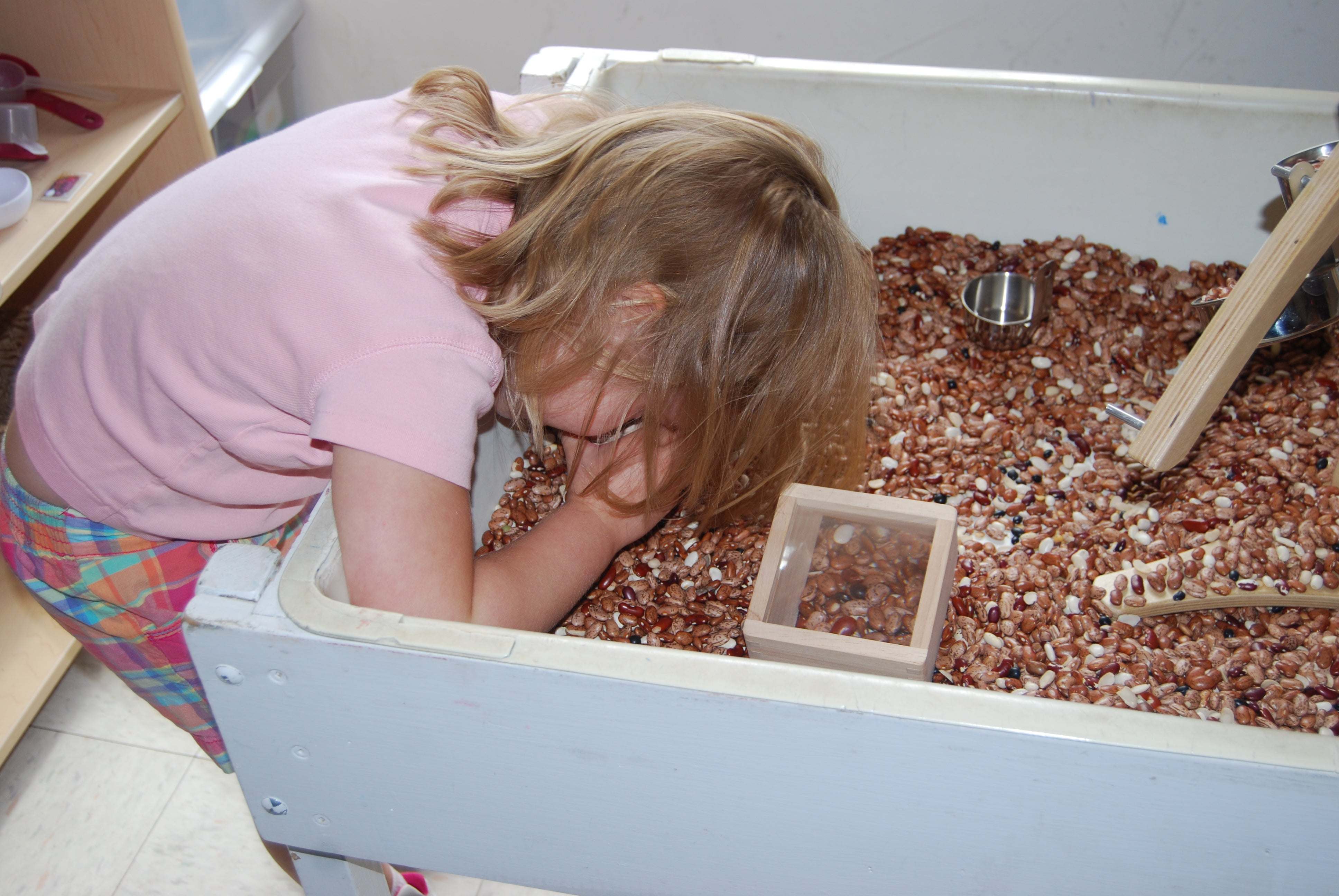 Child using a hardwood magnifying block to examine dried beans in a sensory table.