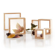 Six square wooden blocks with inset acrylic magnifying windows, displaying natural items like leaves, shells, and pinecones.