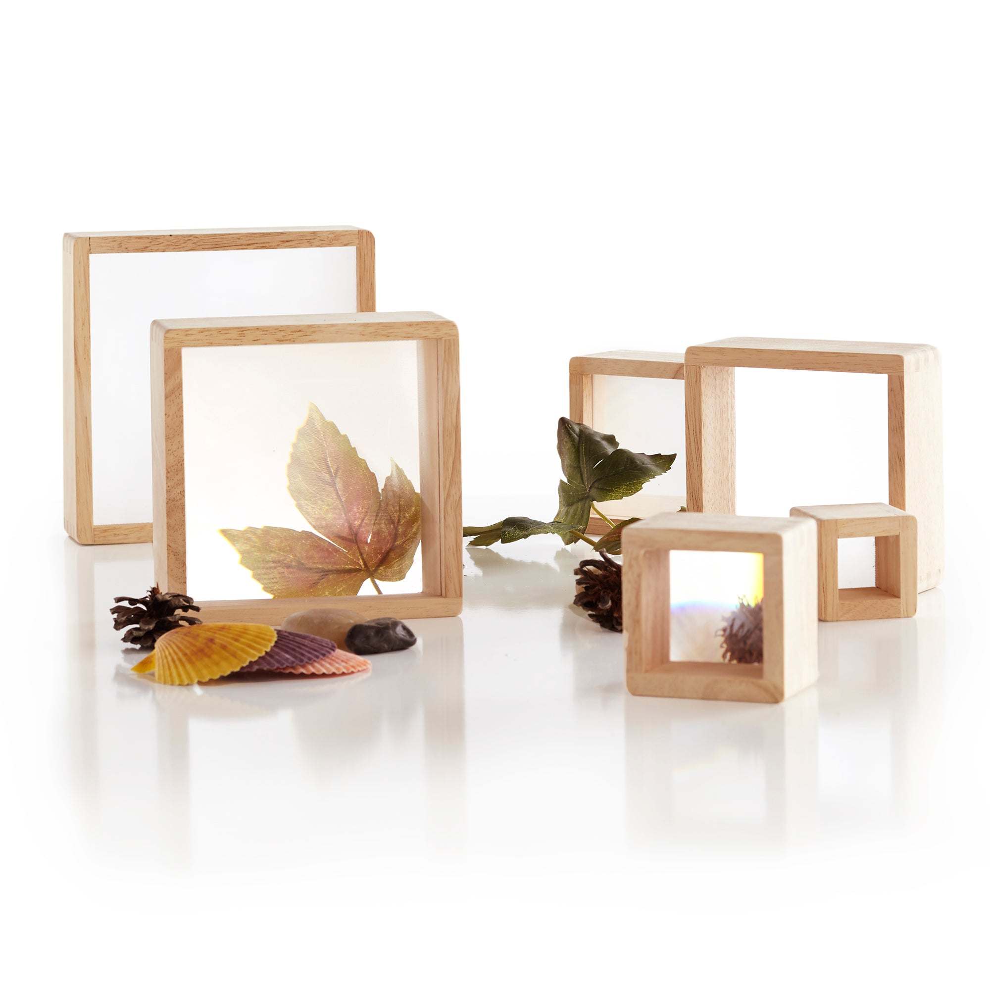 Six square wooden blocks with inset acrylic magnifying windows, displaying natural items like leaves, shells, and pinecones.