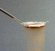 Fine-mesh metal sand sifter with a long handle, straining golden sand against a grey textured background.