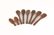 Set of seven eco-friendly spoons crafted from dark, textured coconut shell arranged in a fan shape on a white background.