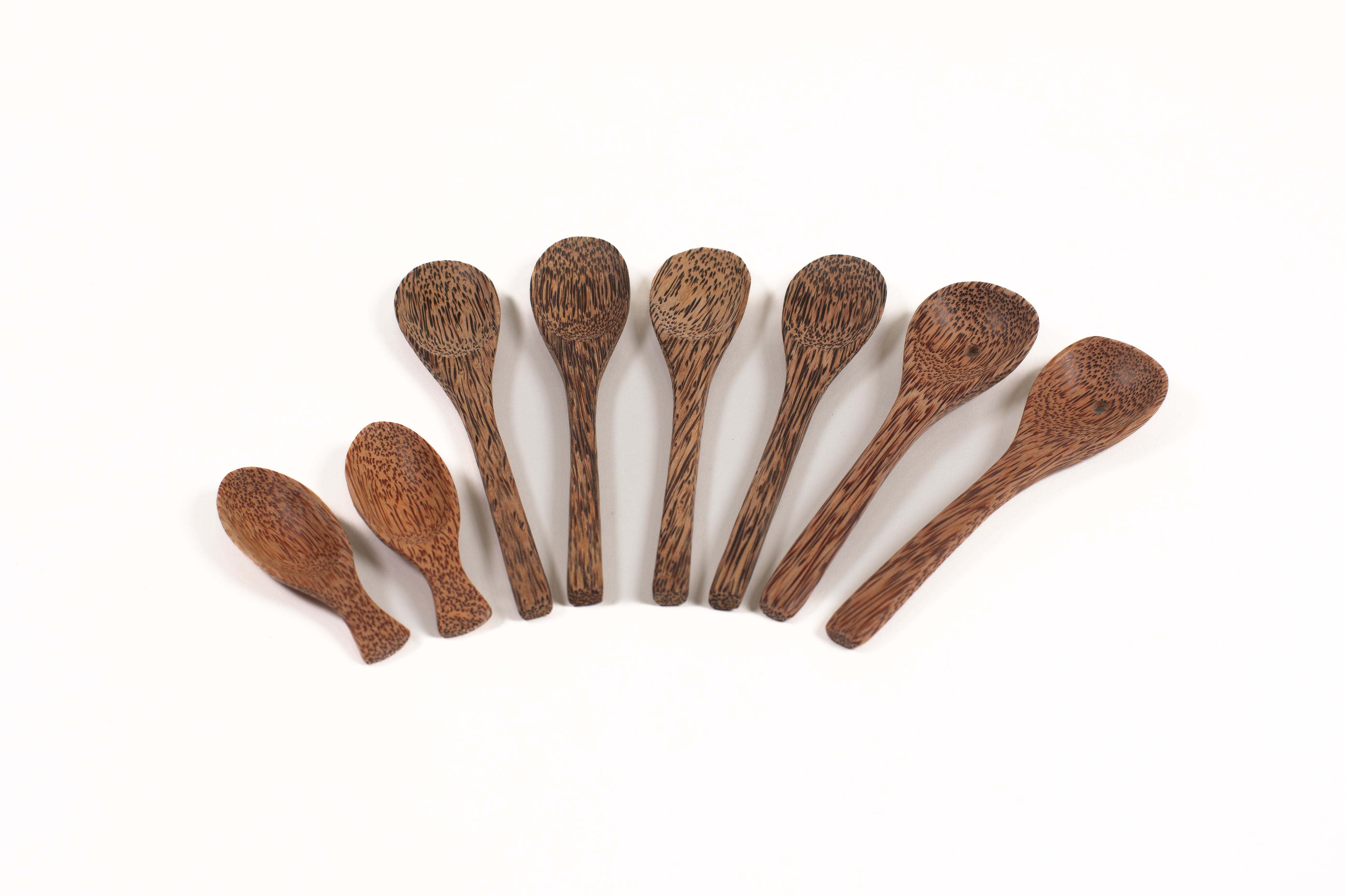 Set of seven eco-friendly spoons crafted from dark, textured coconut shell arranged in a fan shape on a white background.