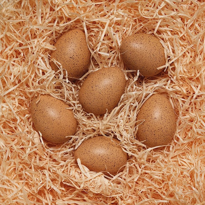 Six realistic, speckled brown sensory sound eggs nestled in a bed of natural wood shavings.