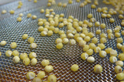 Small yellow sensory beads resting on a fine-mesh metal sorting screen for classroom science exploration.