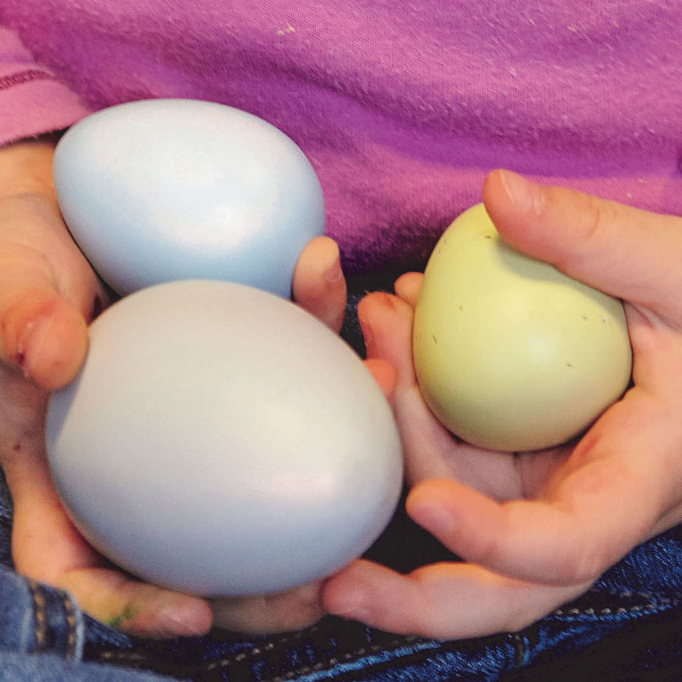 Sorting Eggs