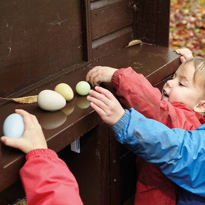 Sorting Eggs