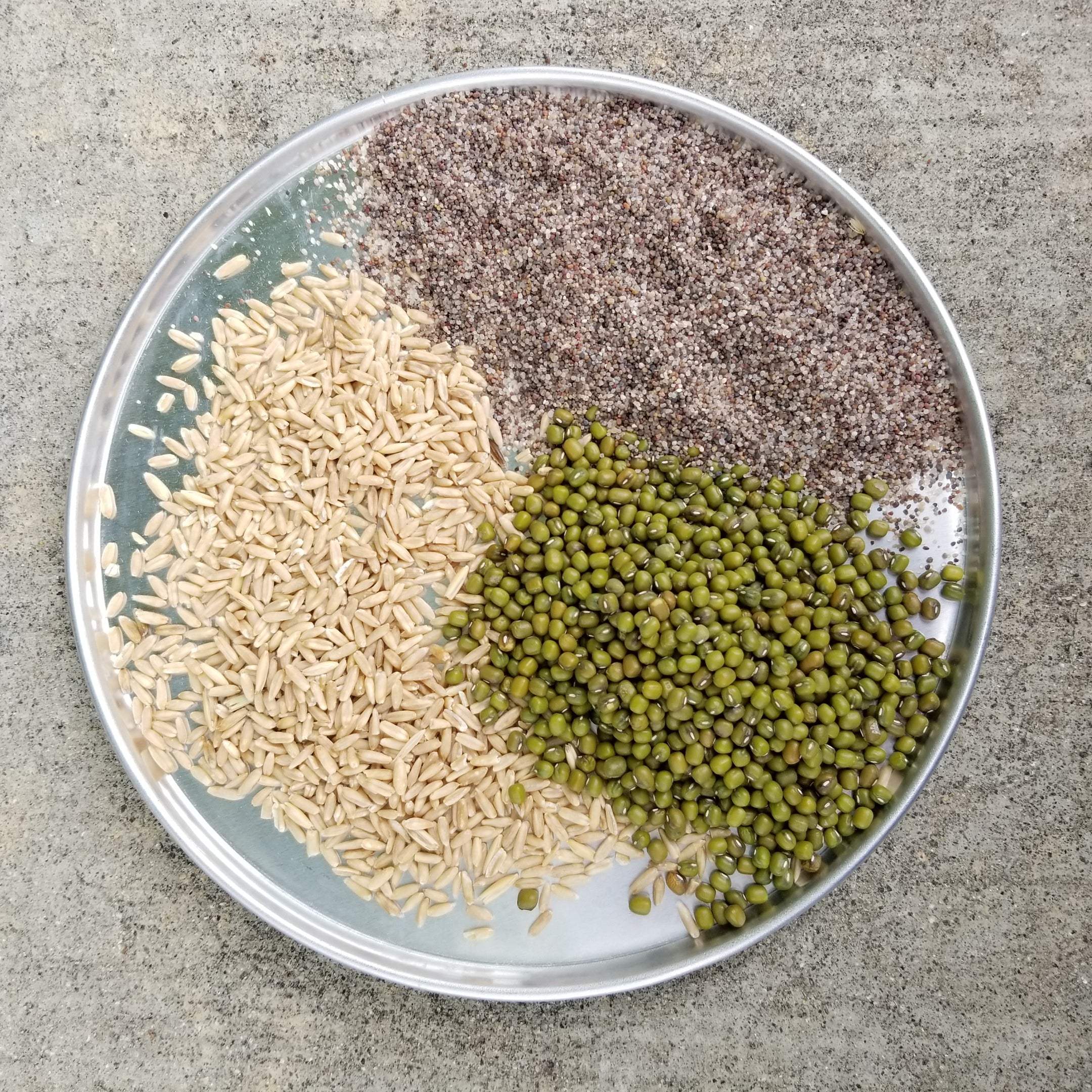 Round metal plate filled with sections of brown sand, oat grains, and green mung beans for sensory play.