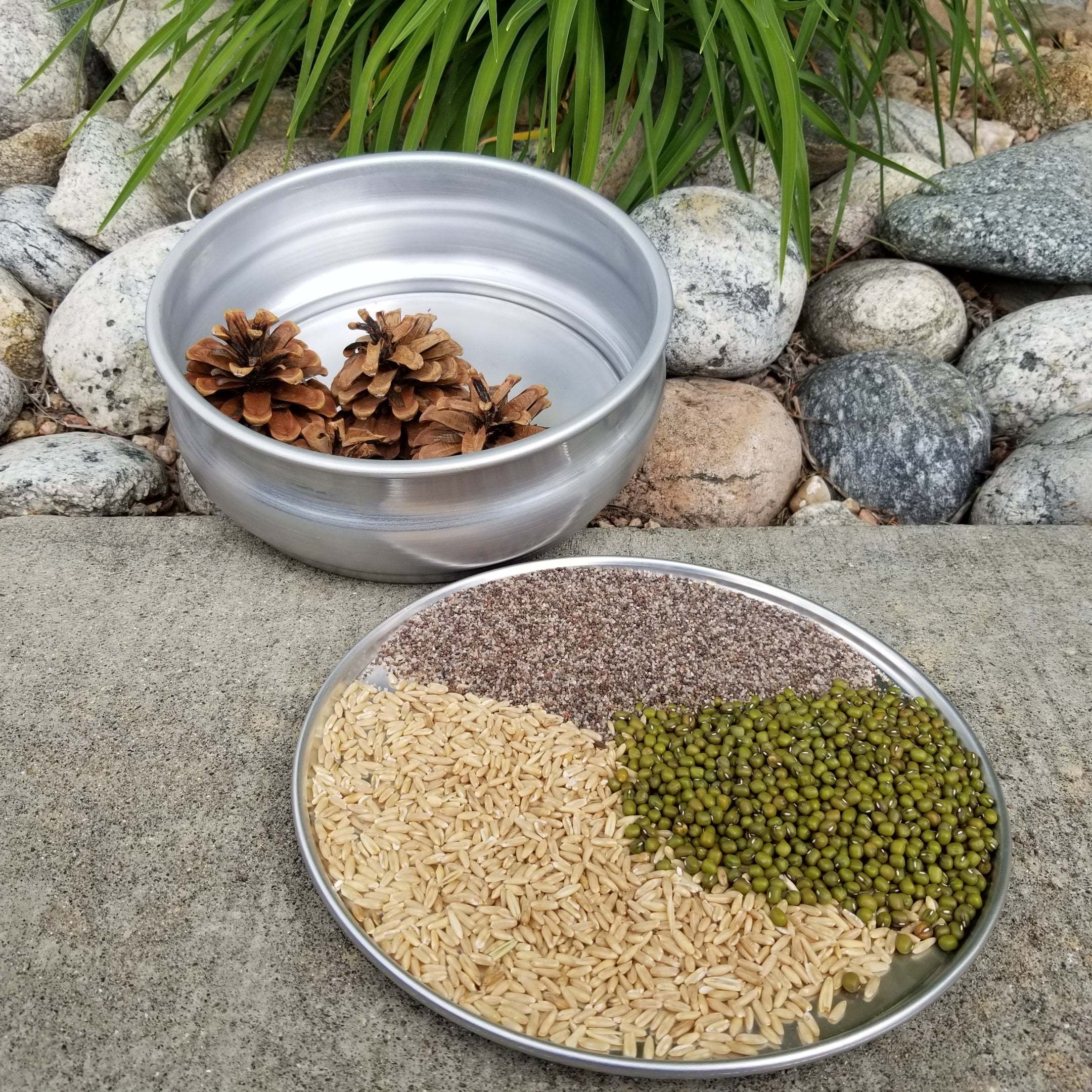 Silver metal bowl filled with pinecones next to a metal plate holding grains, beans, and seeds on a stone surface.