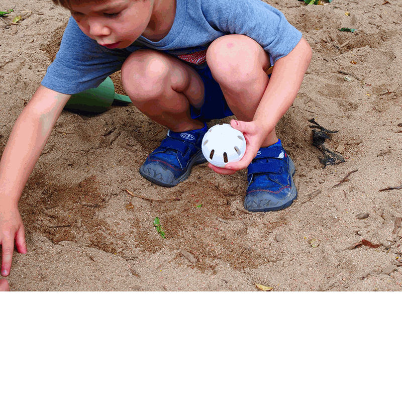 Child playing in a sandbox holding a lightweight, white plastic Wiffle ball with signature slotted cutouts.
