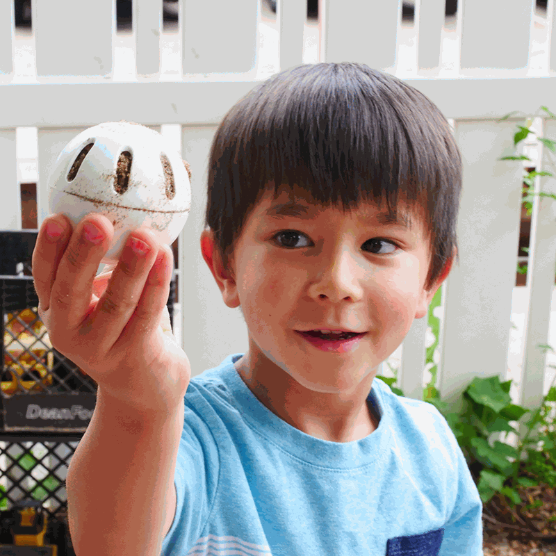 Young boy holding a white, perforated plastic Wiffle ball with dirt inside, outdoors against a white fence.